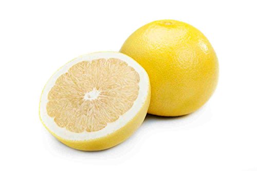 10 Samen von Paramount Citrus TEXAS Grapefruit SWEET (Mischung aus Orangen- und Trauben von SVI