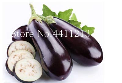 Dunkelbraun: Svi New 200 Stück Aubergine Bio-Gemüse, Samt für schönen Garten Dark Brown von SVI