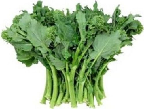 Erbstück BROCCOLI RAAB frühen Herbst Rapini Rabe❋1000 Seeds❋Asparago❋Non GMO von SVI