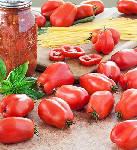 San Marzano Tomaten 25 Samen - Sehr Gut für Sauce! von SVI