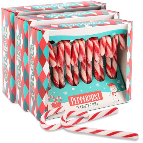 Weihnachtliche Zuckerstangen Pfefferminze Geschmack - 36 rot-weiße Candy Canes, 12g pro Stück - in roter Geschenkbox - Perfekt für Weihnachtsdeko, Baumdeko & als Süßigkeit für den Weihnachtsteller von SWEET BUDDIES