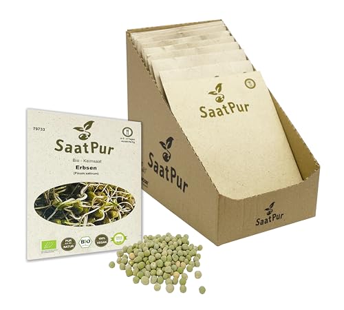 Erbsen BIO Keimsprossen von SaatPur - Sprossen Keimsaat - Kleines Tray mit 10 Portionstüten je 90g von SaatPur