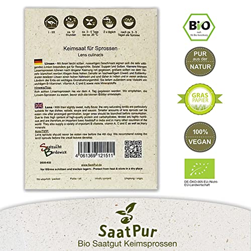 Linsen (Grün) BIO Keimsprossen von SaatPur - Sprossen Keimsaat Microgreen - Großes Tray mit 40 Portionstüten je 75g von SaatPur