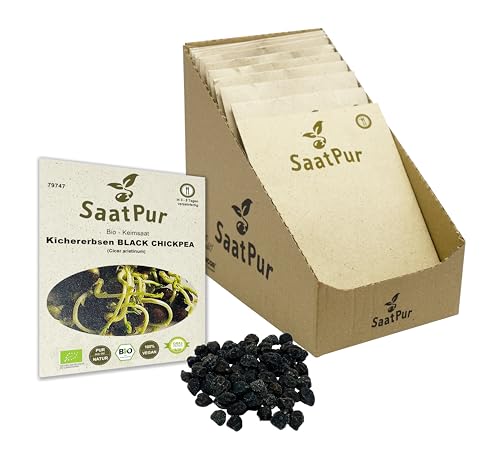 SaatPur Bio Keimsprossen - Kichererbsen Black Chickpea Sprossen, Microgreens - Kleines Tray mit 10 Portionstüten je 50g von SaatPur