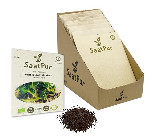 Senf Black Mustard BIO Keimsprossen von SaatPur - schwarzer Senf Sprossen, Microgreens - Kleines Tray mit 20 Portionstüten je 30g von SaatPur