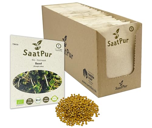 Senf Mustard BIO Keimsprossen von SaatPur - Sprossen, Microgreens - Großes Tray mit 50 Portionstüten je 50g von SaatPur