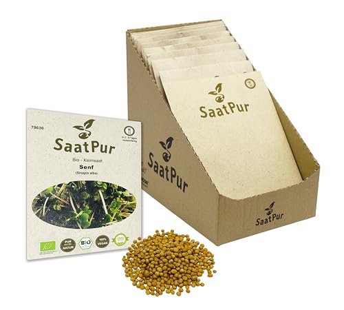 Senf Mustard BIO Keimsprossen von SaatPur - Sprossen, Microgreens - Kleines Tray mit 20 Portionstüten je 50g von SaatPur