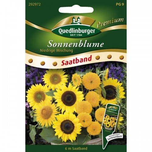 Sonnenblumen niedrige Mischung Saatband von Saatgut