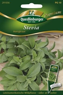 Stevia Süßkraut von Saatgut