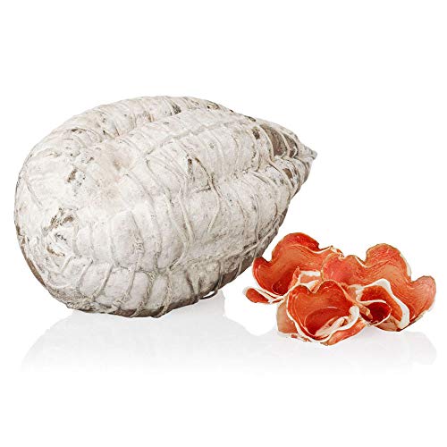 Fiocco di Prosciutto, Schinken, Italienisches Schweinefleisch, 1,7 kg von Salumi Pasini