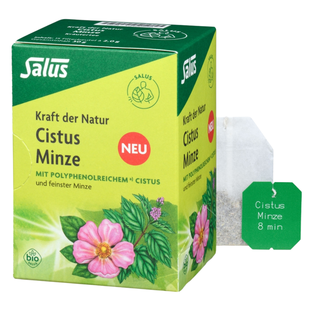 Bio Cistus Minze Tee, 15 Filterbeutel von Salus