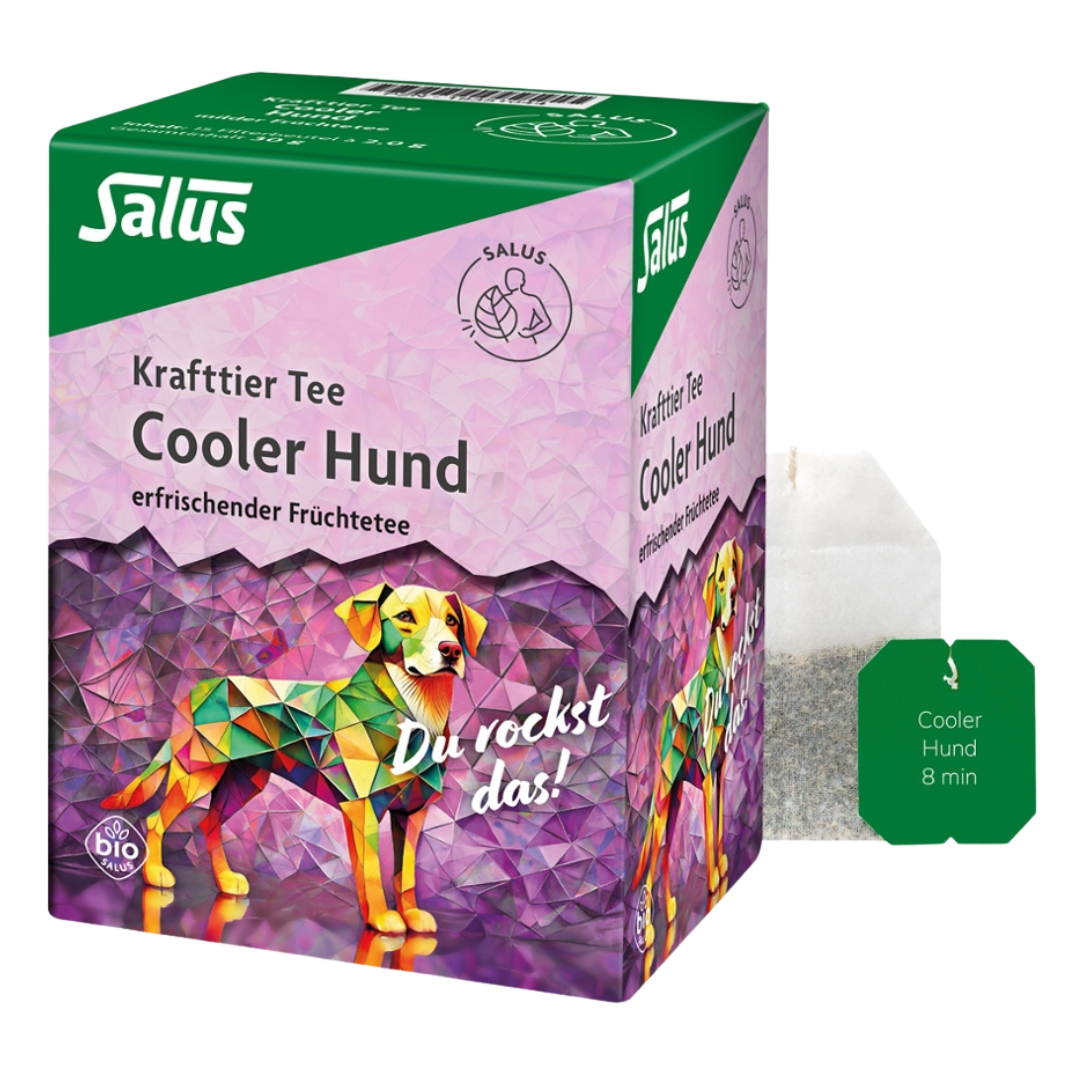 Bio Cooler Hund Früchte Tee von Salus