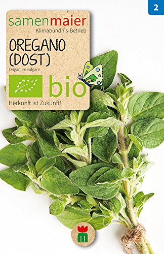 Samen Maier 784 Oregano-Dost mehrjährig (Bio-Oreganosamen) von Samen Maier