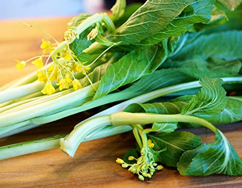 Gemüsekohl - Choy Sum, Gunsho - Chinakohl - Kohl - 100 Samen von Samen Schenker