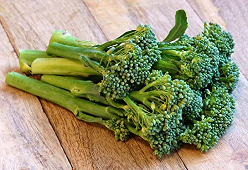 Italienischer Spargelbrokkoli/Stängelkohl/Broccoli Raab/Brocoletti/Cima di Rapa- Riccia S. Marzano - 1000 Samen von Samen Schenker