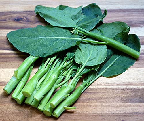 Kailan Kichi - Chinesischer Brokkoli - Broccoli - 100 Samen von Samen Schenker