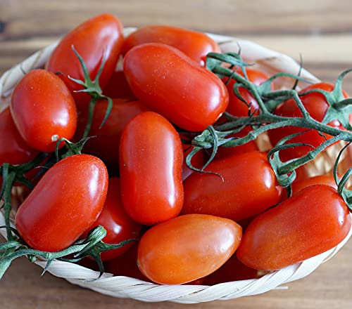 Tomate San Marzano 2 - Klassisch, aromatisch, ideal für Saucen - 50 Samen von Samen Schenker