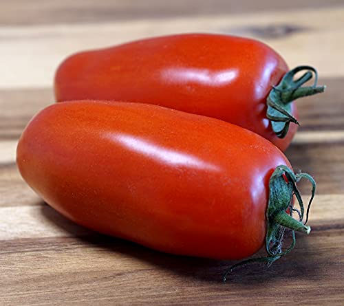 Tomate San Marzano – aromatisch und ertragreich, perfekt für die Küche - 20 Samen von Samen Schenker