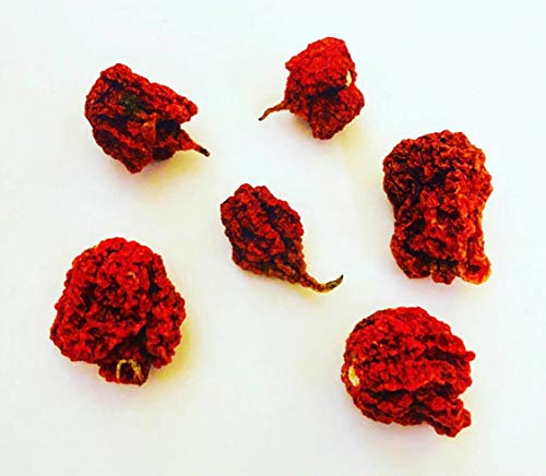 Carolina Reaper - 5+ Getrocknete Früchte - (Die schärfste Chili der Welt) mit 2.200.000 Scoville "Weltrekord" von Samenchilishop (Immer nur einmal Versand)