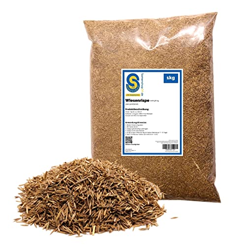 Wiesenrispe, poa pratensis, Inhalt 1kg, feinblättrige Sorten mit ausgezeichneter Rasenqualität, extrem belastbar, schnell regenerierend von Samenshop 24