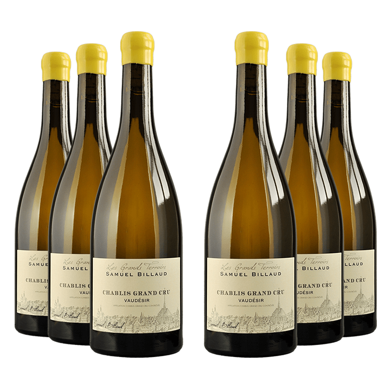 Samuel Billaud : Chablis Grand cru "Vaudésir" 2022 von Samuel Billaud