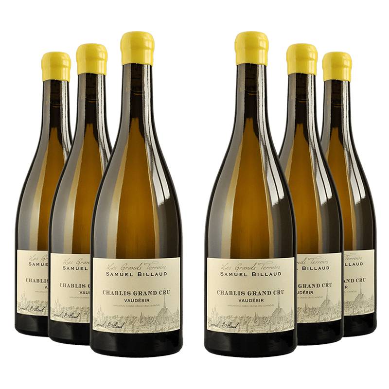 Samuel Billaud : Chablis Grand cru "Vaudésir" 2022 von Samuel Billaud