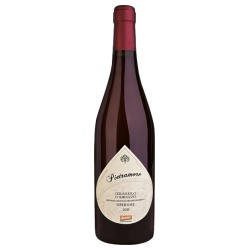 Cerasuolo dAbruzzo Superiore Pietramore DOP 2015 (Auslaufartikel) von San Vicario