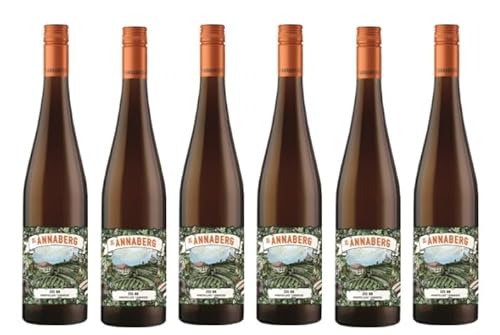 6x 0,75l - 2023er - Sankt Annaberg - 355 NN - Riesling - Qualitätswein Pfalz - Deutschland - Weißwein trocken von Sankt Annaberg