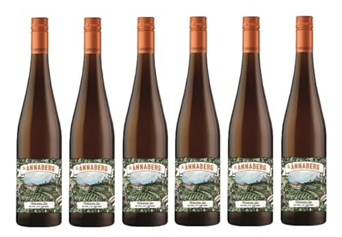 6x 0,75l - 2023er - Sankt Annaberg - Terrassenlage - Riesling - Qualitätswein Pfalz - Deutschland - Weißwein trocken von Sankt Annaberg