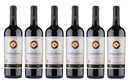 6x 0,75l - 2022er - Miguel Torres - Santa Digna - Gran Reserva - Cabernet Sauvignon - Chile - Rotwein trocken von Santa Digna