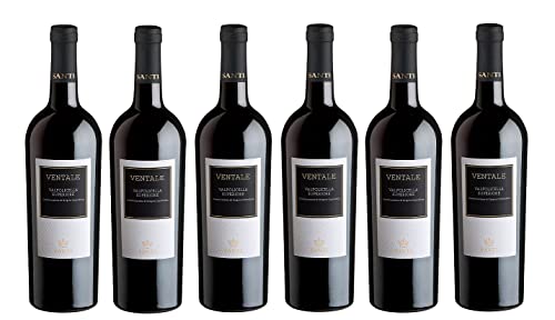 6x 0,75l - 2019er - Santi - Ventale - Valpolicella Superiore D.O.P. - Veneto - Italien - Rotwein trocken von Santi