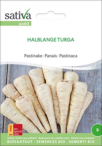 Sativa Rheinau pa60 Pastinake Halblange Turga (Bio-Pastinakensamen) von Sativa Rheinau