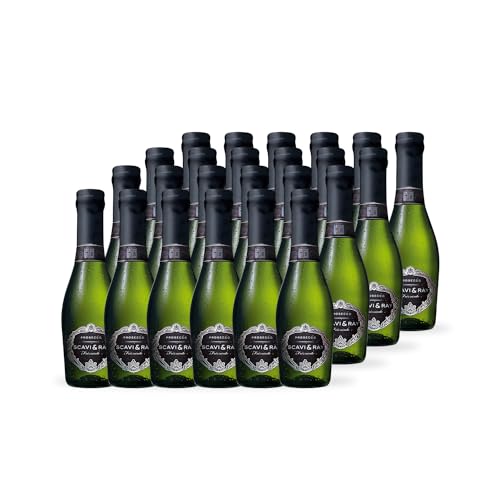 SCAVI & RAY Prosecco DOC Frizzante Piccolo, 24 x 0,2l trockener Prosecco aus Italien, fruchtig frisch in 0,2l Prosecco-Flaschen, 10,5% Vol. Alkohol, ideal für unterwegs oder den kleinen Genussmoment von Scavi & Ray