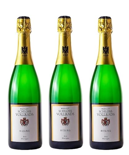 3x 0,75l - 2022er - Schloss Vollrads - Riesling-Sekt brut - Sekt b.A. Rheingau - Deutschland - Schaumwein brut von Schloss Vollrads