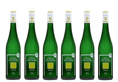 6x 0,75l - 2023er - Schloss Vollrads - Riesling feinherb - "Edition Rheingau" - VDP.Gutswein - Qualitätswein Rheingau - Deutschland - Weißwein halbtrocken von Schloss Vollrads