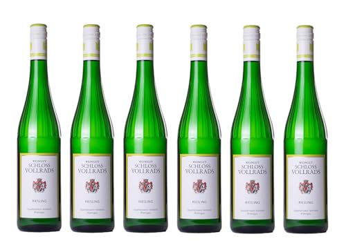 6x 0,75l - 2022er - Schloss Vollrads - Riesling feinherb - VDP.Gutswein - Qualitätswein Rheingau - Deutschland - Weißwein halbtrocken von Schloss Vollrads