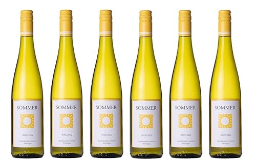 6x 0,75l - 2023er - Schloss Vollrads - Sommer Riesling - Qualitätswein Rheingau - Deutschland - Weißwein trocken von Schloss Vollrads