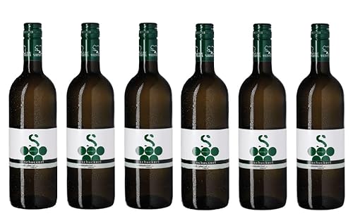 6x 0,75l - 2023er - Schuckert - Grüner Veltliner - Classic - Weinviertel DAC - Österreich - Weißwein trocken von Schuckert