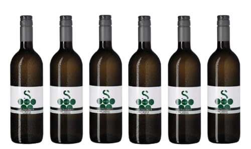 6x 0,75l - 2022er - Schuckert - Grüner Veltliner - Ried Nestelbecher - Weinviertel DAC - Österreich - Weißwein trocken von Schuckert