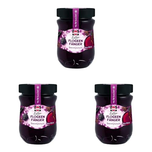 Schwartau Extra Flockenfänger Beerenpunsch, Winterkonfitüre mit Beeren, 340 g Glas (Packung mit 3) von Schwartau