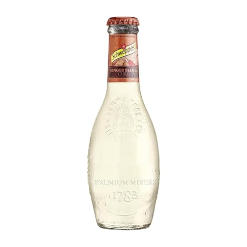 Getränke und Mixer 24 Einheiten Box Ginger Beer Premium Vidrio Kleine Flasche 20 cl von Schweppes Suntory España