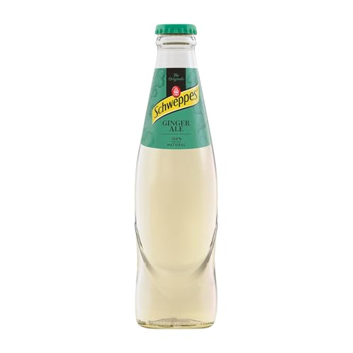 Getränke und Mixer 24 Einheiten Box Ginger Kleine Flasche 20 cl von Schweppes Suntory España