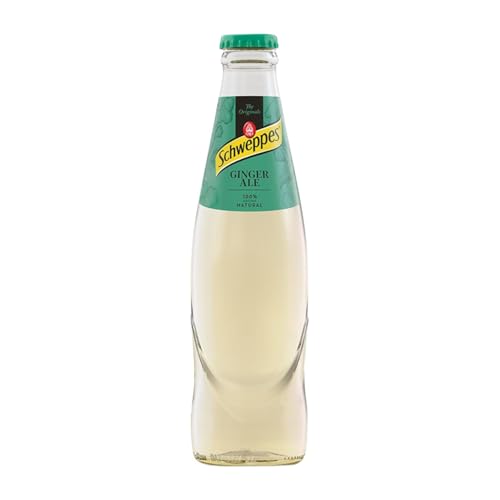 Getränke und Mixer 24 Einheiten Box Ginger Kleine Flasche 25 cl von Schweppes Suntory España