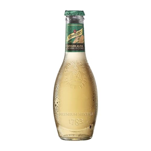 Getränke und Mixer 24 Einheiten Box Ginger Premium Kleine Flasche 20 cl von Schweppes Suntory España