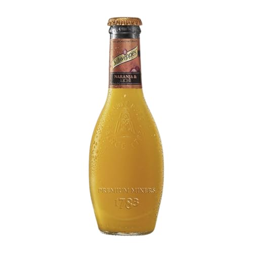 Getränke und Mixer 24 Einheiten Box Naranja Premium Kleine Flasche 20 cl von Schweppes Suntory España