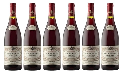 6x 0,75l - 2023er - Seguin-Manuel - Pinot Noir - Bourgogne A.O.P. - Burgund - Frankreich - Rotwein trocken von Seguin-Manuel