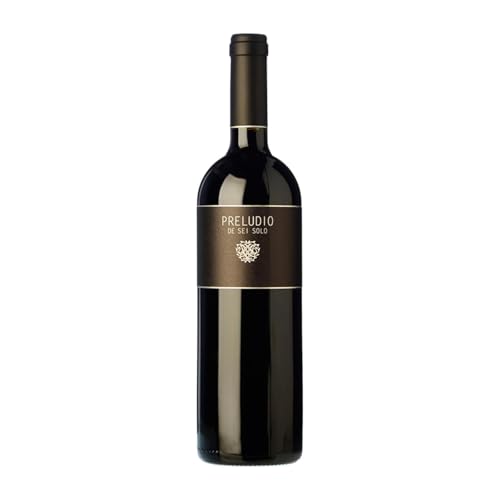 Sei Solo Preludio Tempranillo Ribera del Duero Reserve 75 cl Rotwein von Sei Solo Bodegas y Viñedos