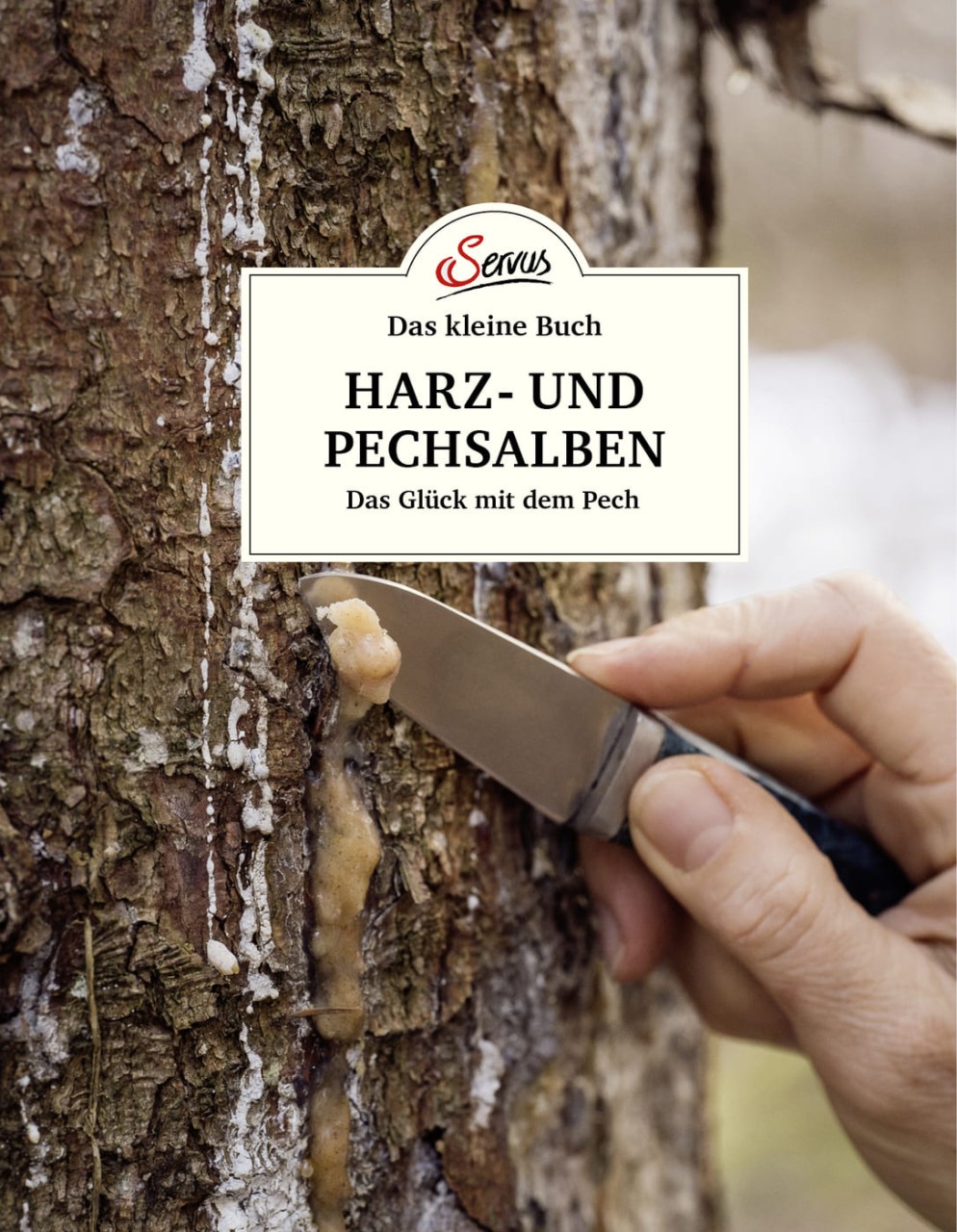 Das große kleine Buch: Harz- und Pechsalben von Servus Verlag