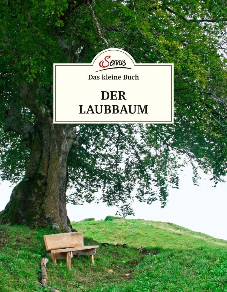 Das kleine Buch: Der Laubbaum von Servus Verlag