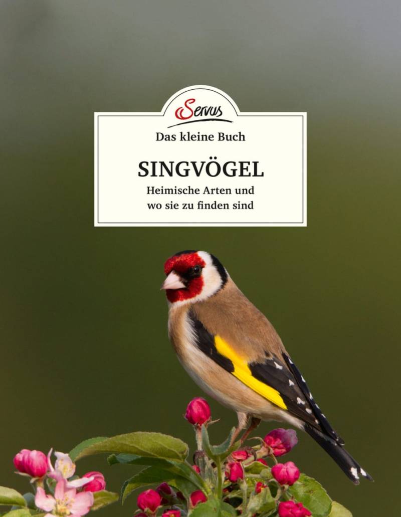 Das kleine Buch: Singvögel von Servus Verlag